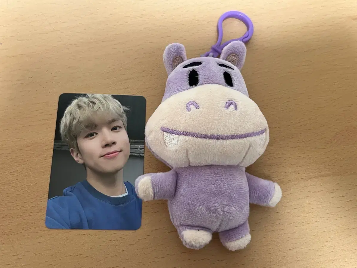 アイドル N.Flying HAMANG Doll (28cm) Shop 엔플라잉인형 on Bunjang Global Site - No more Korean